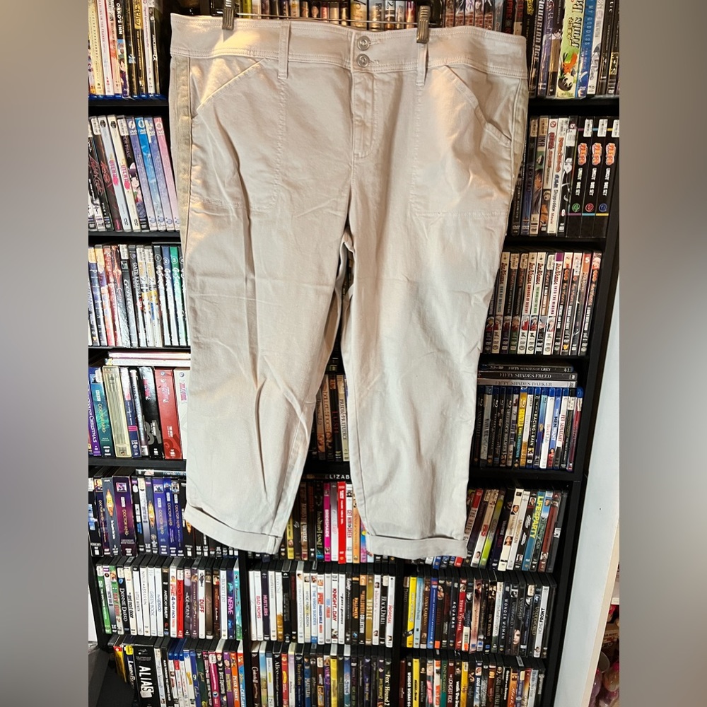 Torrid pants